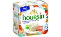 Seasonal Fall Cheese Boursin Caramelized Onion Herbs Packaging