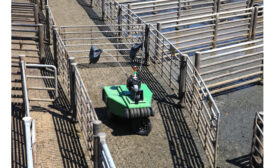 Cargill Cattle Driver Robot