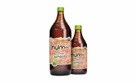 Humm Kombucha 40s