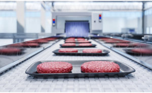 Hamburger patties on production line