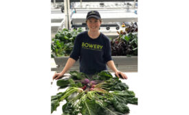 Vertical Farming Indoor Lettuce Bowery Albertsons Grocery Stores