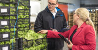 Man and woman checking the vegetables in the warehouse